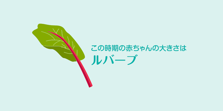 妊娠38週目 おなかの張り具合と症状および赤ちゃんの発育 パンパース