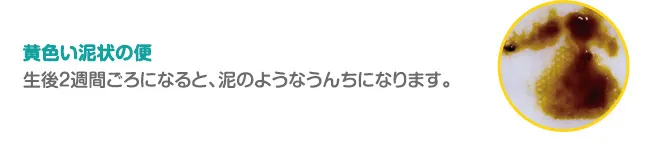 黄色い泥状の便