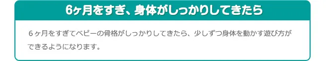 6ヶ月をすぎ、身体がしっかりしてきたら