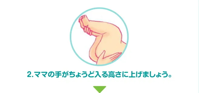 2.ママの手がちょうど入る高さに上げましょう。