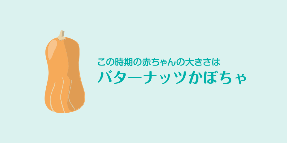 妊娠29週 おなかの張り具合と症状および胎児の発育 パンパース