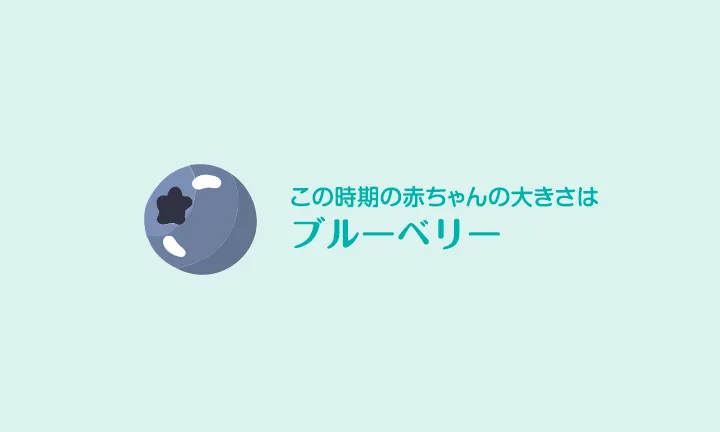 妊娠7週 症状 ヒント 胎児の発育 パンパース