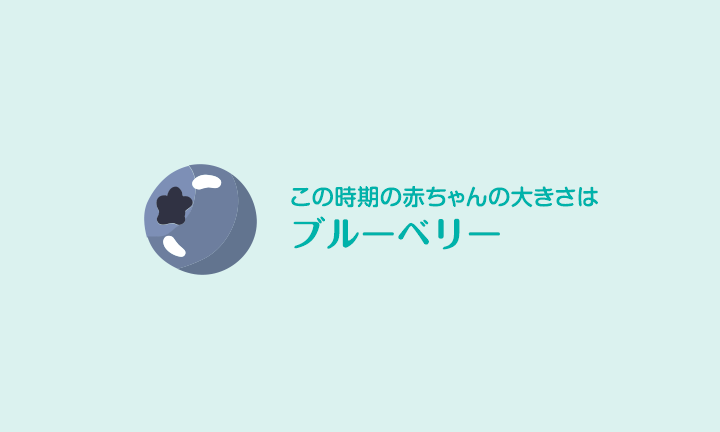 妊娠7週 症状 ヒント 胎児の発育 パンパース