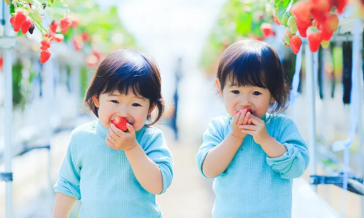 双子が生まれる確率は？