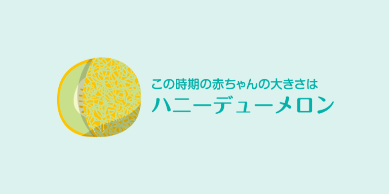 妊娠35週 おなかの張り具合と症状および赤ちゃんの発育 パンパース