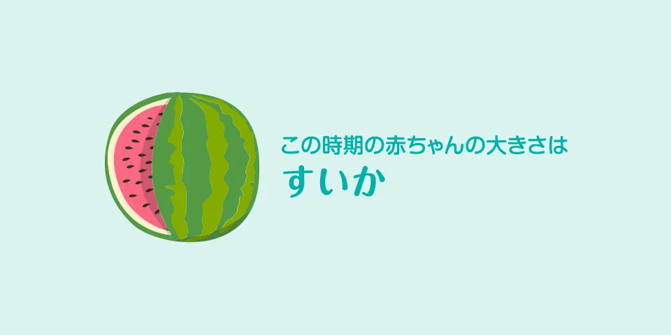 妊娠39週目 おなかの張り具合と症状および赤ちゃんの発育 パンパース