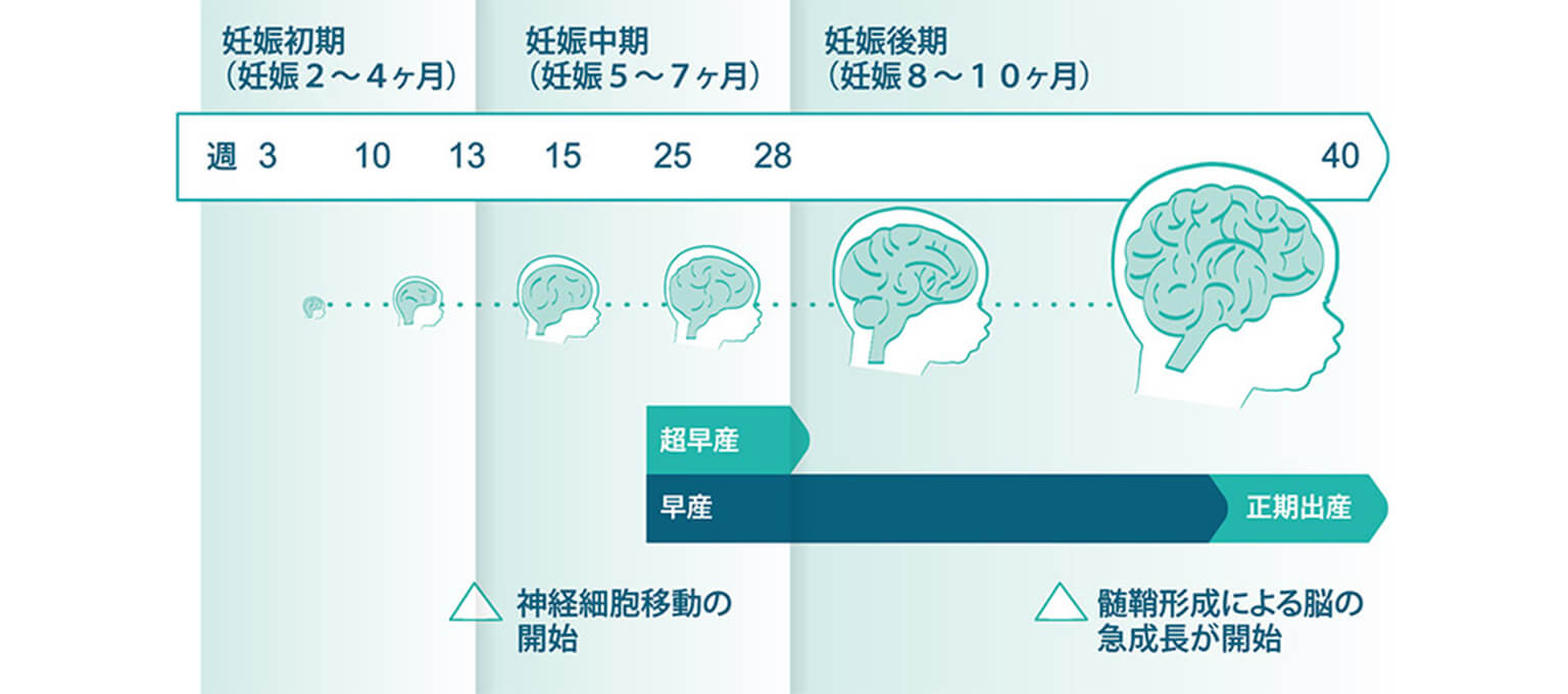 低出生体重児用おむつへの取り組み 睡眠を妨げず 小さな赤ちゃんがぐっすり心地良い眠りにつけるように おむつのパンパース