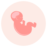 妊娠5週 症状 ヒント 胎児の発育 パンパース
