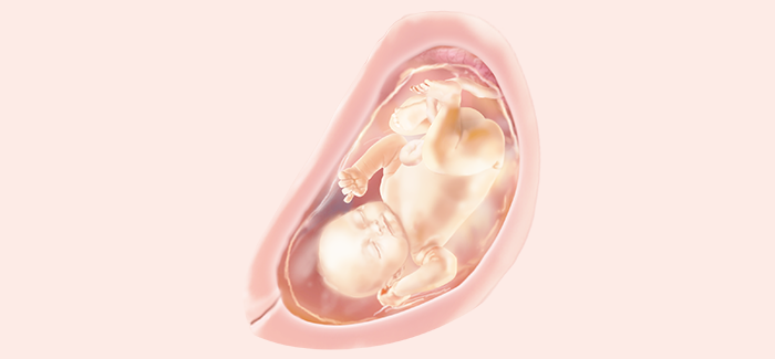 妊娠33週 症状 お腹の張り具合および胎児の発育 パンパース