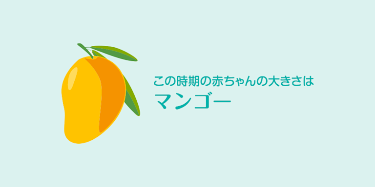 妊娠19週 おなかの張り具合と症状および胎児の発育 パンパース