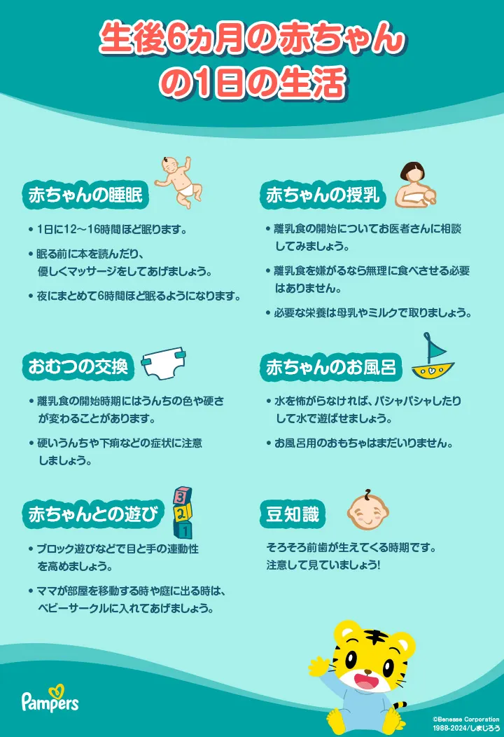 生後6ヵ月の赤ちゃん: 発育、睡眠および食事 | パンパース