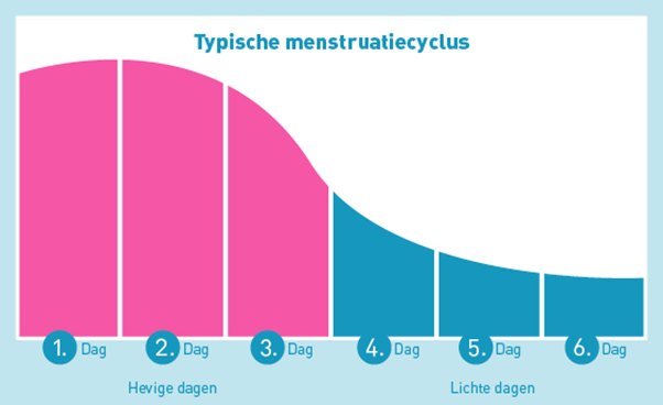 Diagramme de l'évolution typique des règles