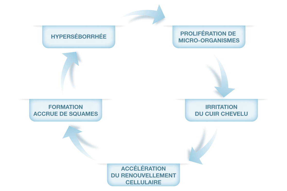 schema-Pellicules Neutrogena®