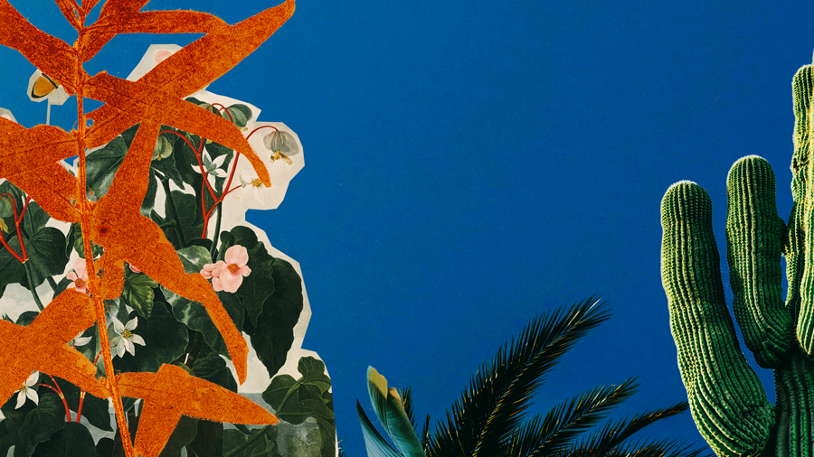 Video Thumbnail (16x9)