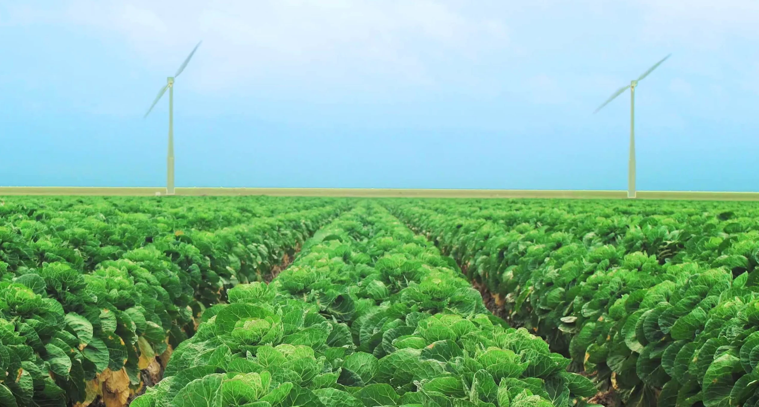 Case Greenery Header