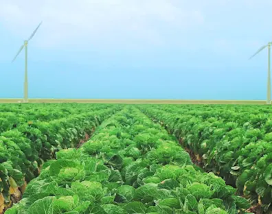 The Greenery