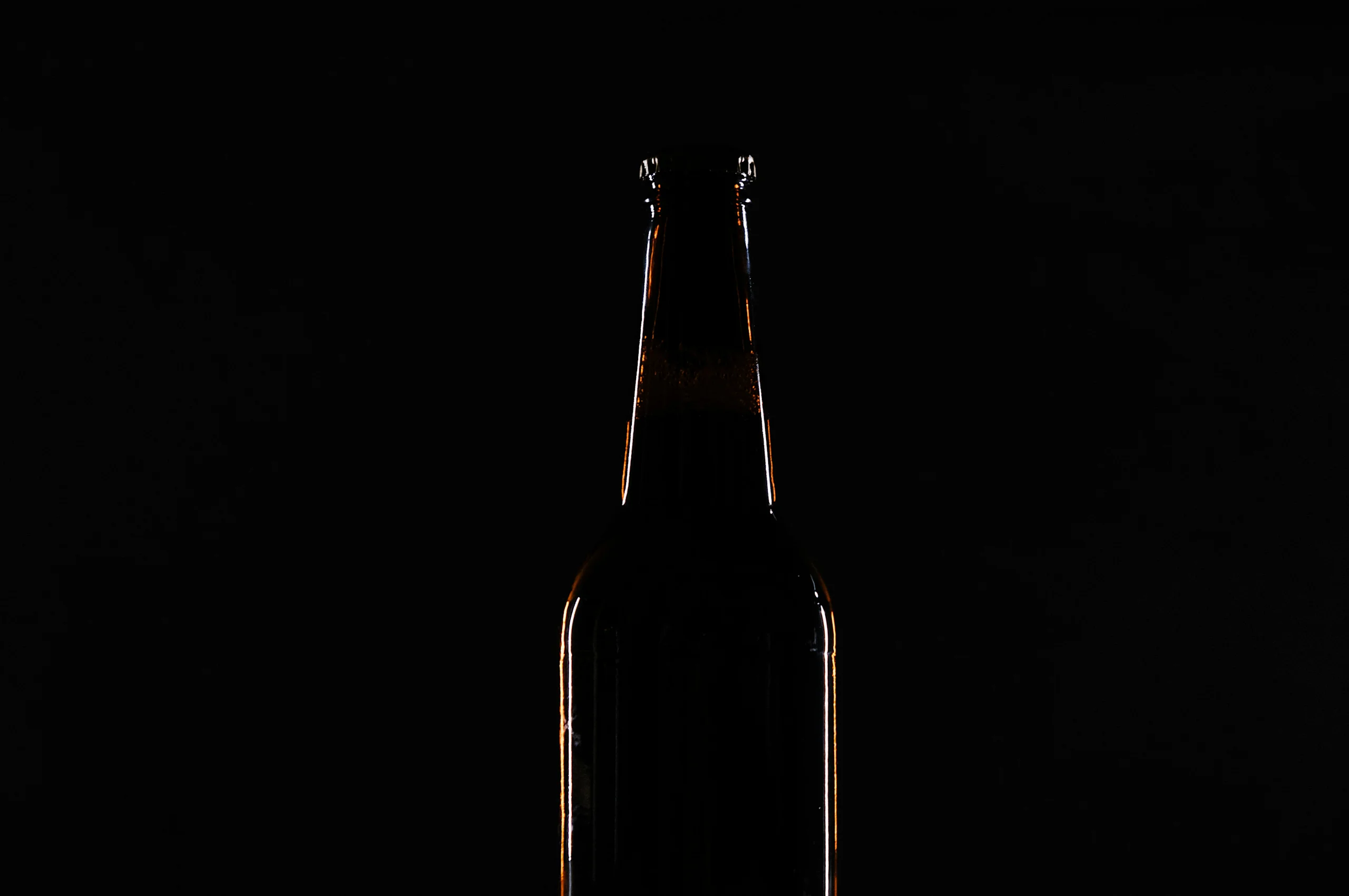 botella