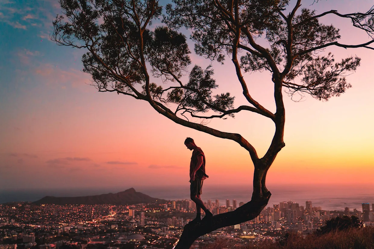 Persona subida a un arbol torcido, con una ciudad de fondo a sus pies en el atardecer