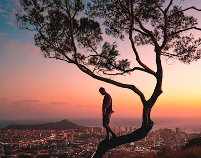 Persona subida a un arbol torcido, con una ciudad de fondo a sus pies en el atardecer