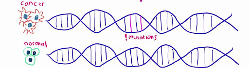 Image 7 bioinformatics-a-hidden-world-where-code-meets-life