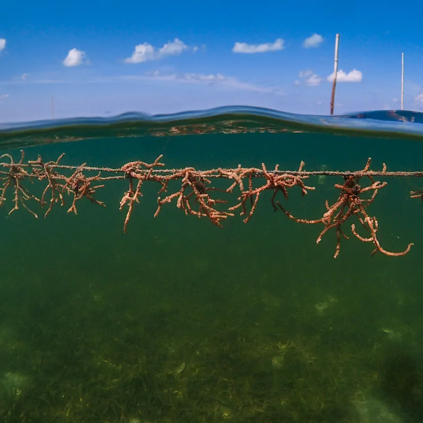 Photo by <a href="https://unsplash.com/@boardshortsben?utm_content=creditCopyText&utm_medium=referral&utm_source=unsplash">Benjamin L. Jones</a> on <a href="https://unsplash.com/photos/green-grass-field-under-blue-sky-during-daytime-puofcLpFuOU?utm_content=creditCopyText&utm_medium=referral&utm_source=unsplash">Unsplash</a> Photo by <a href="https://unsplash.com/@boardshortsben?utm_content=creditCopyText&utm_medium=referral&utm_source=unsplash">Benjamin L. Jones</a> on <a href="https://unsplash.com/photos/green-grass-field-under-blue-sky-during-daytime-puofcLpFuOU?utm_content=creditCopyText&utm_medium=referral&utm_source=unsplash">Unsplash</a>