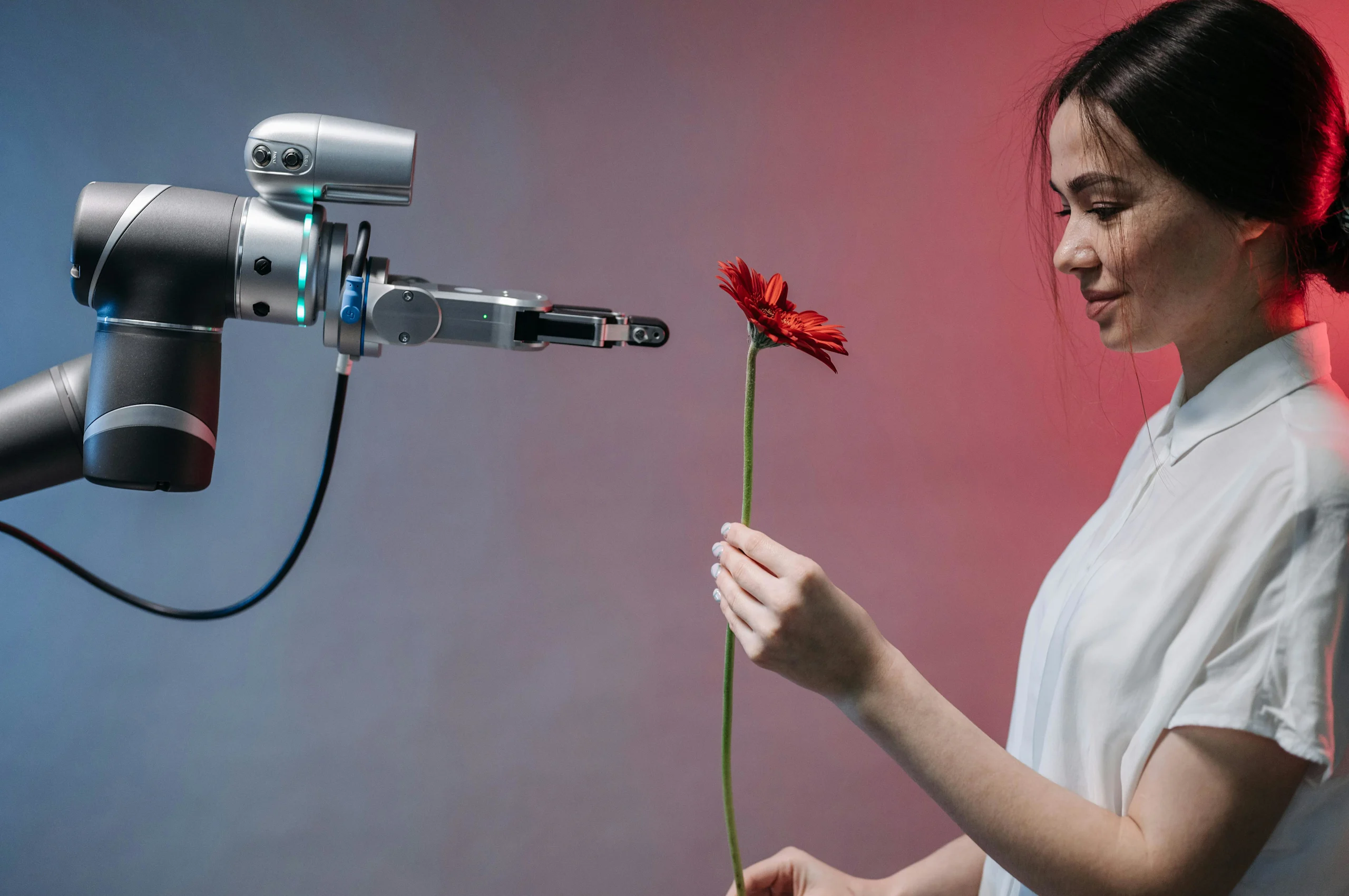 IMG | Bot & rose | ES