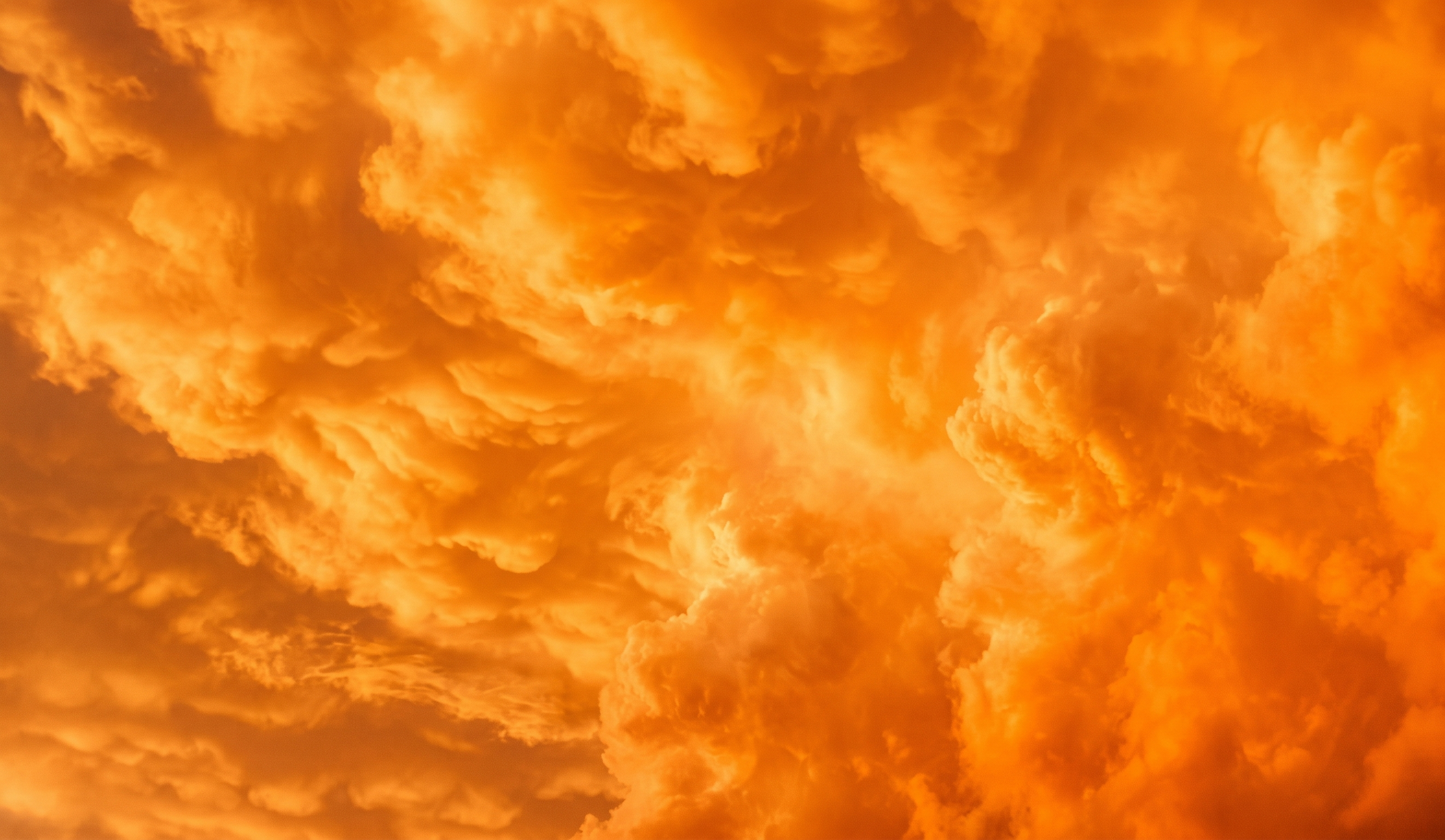 Turning Your Software Investments Into Work Transformation EN-EAF