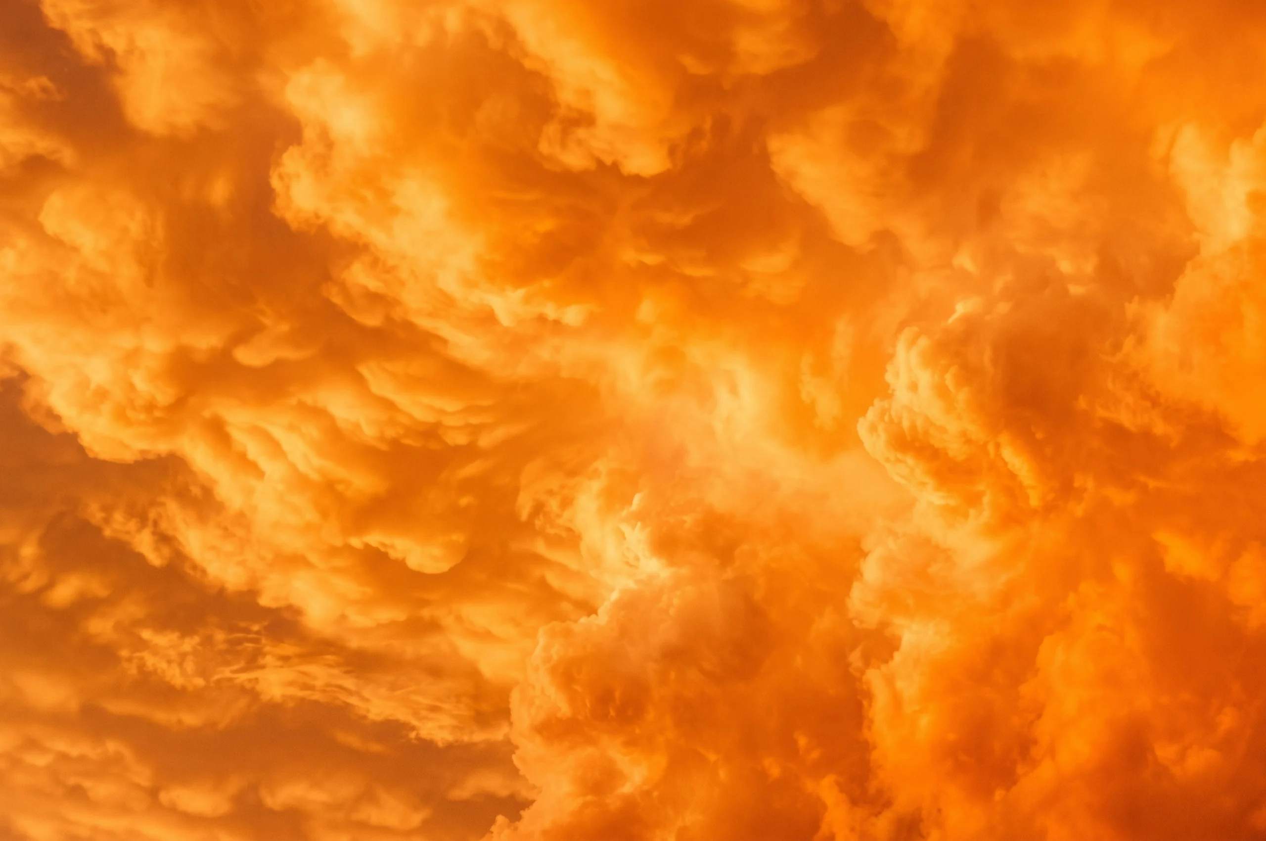 Turning Your Software Investments Into Work Transformation EN-EAF