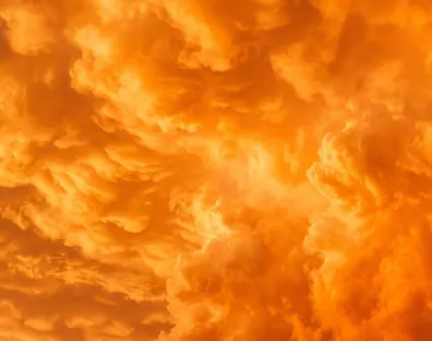 Turning Your Software Investments Into Work Transformation EN-EAF