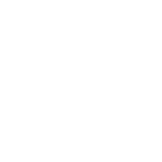Connexxion logo