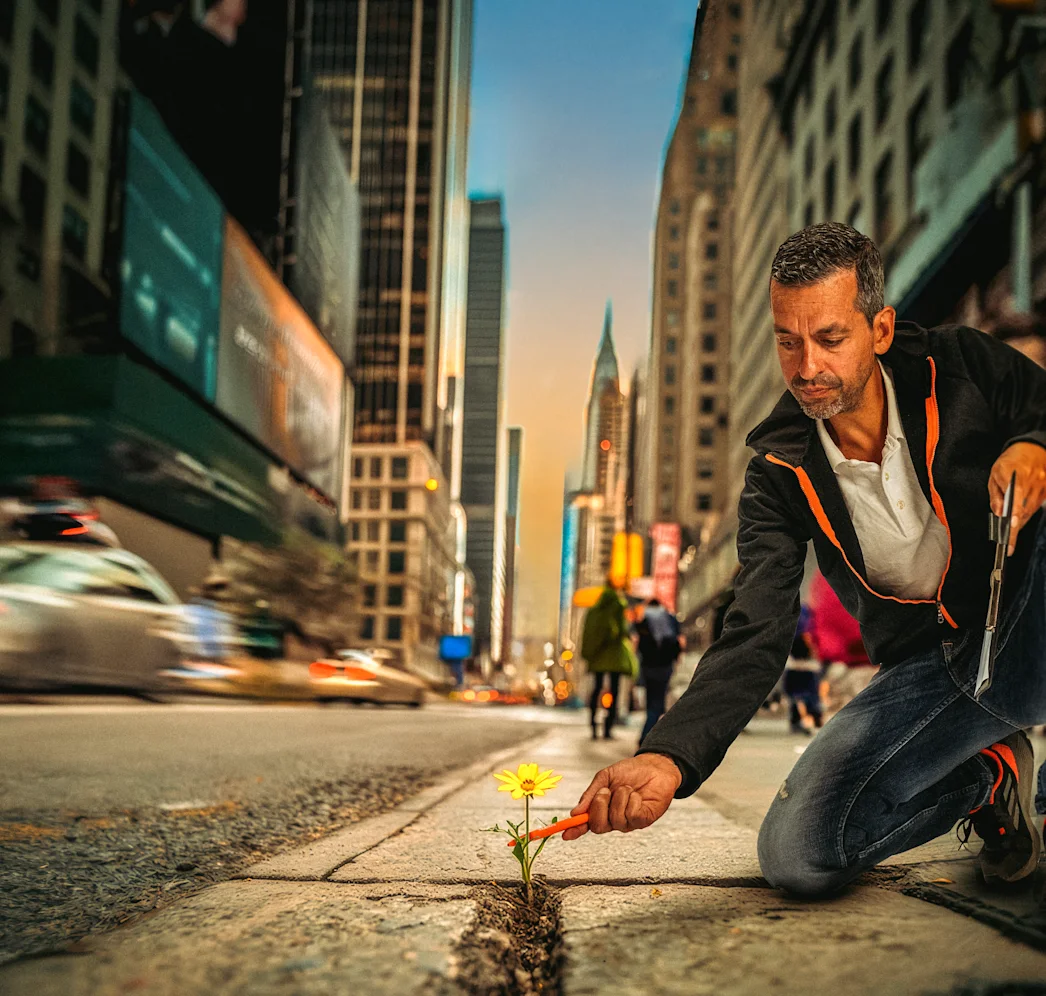 Flower in the street