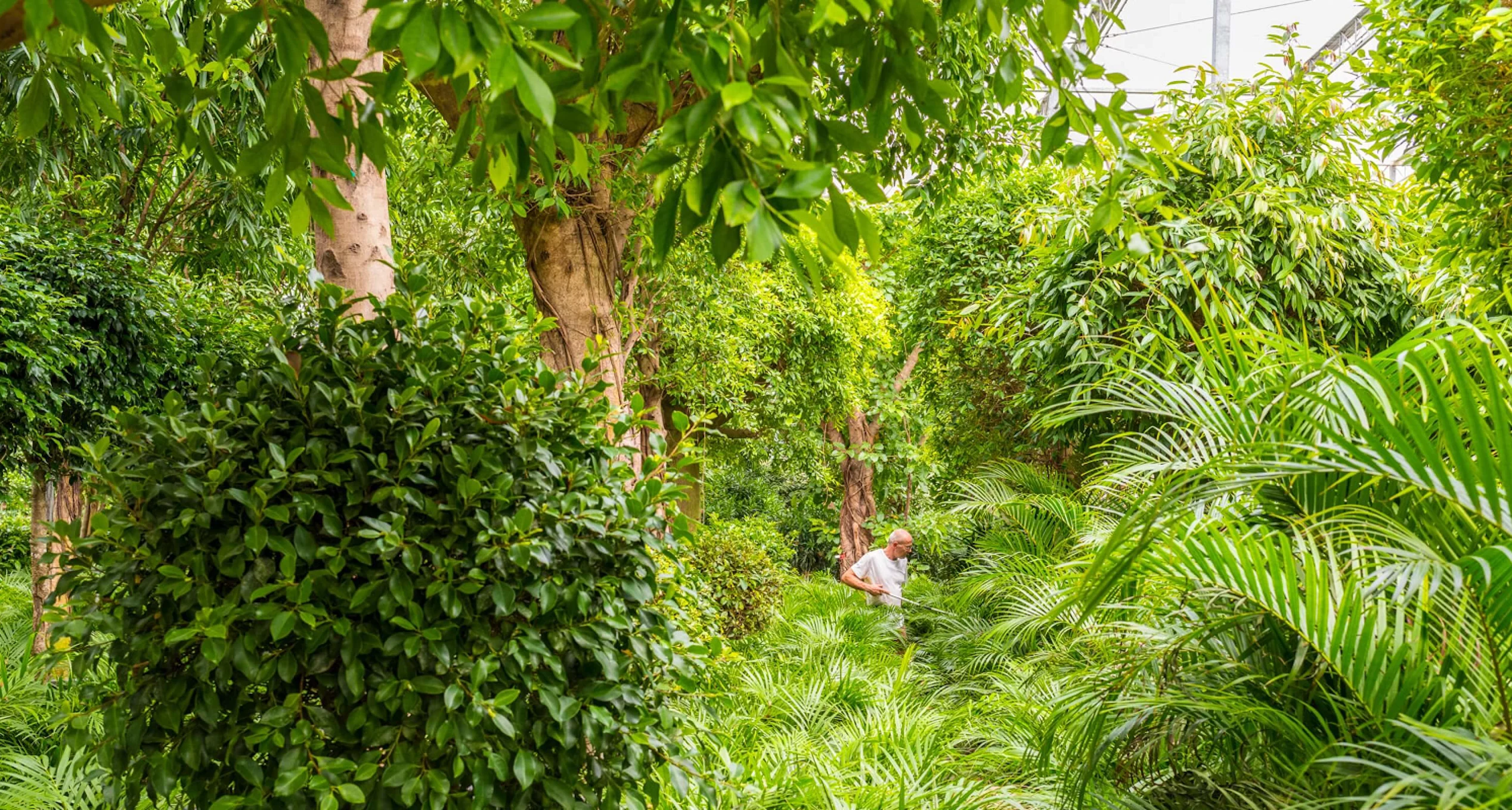 Case Nieuwkoop Image 2