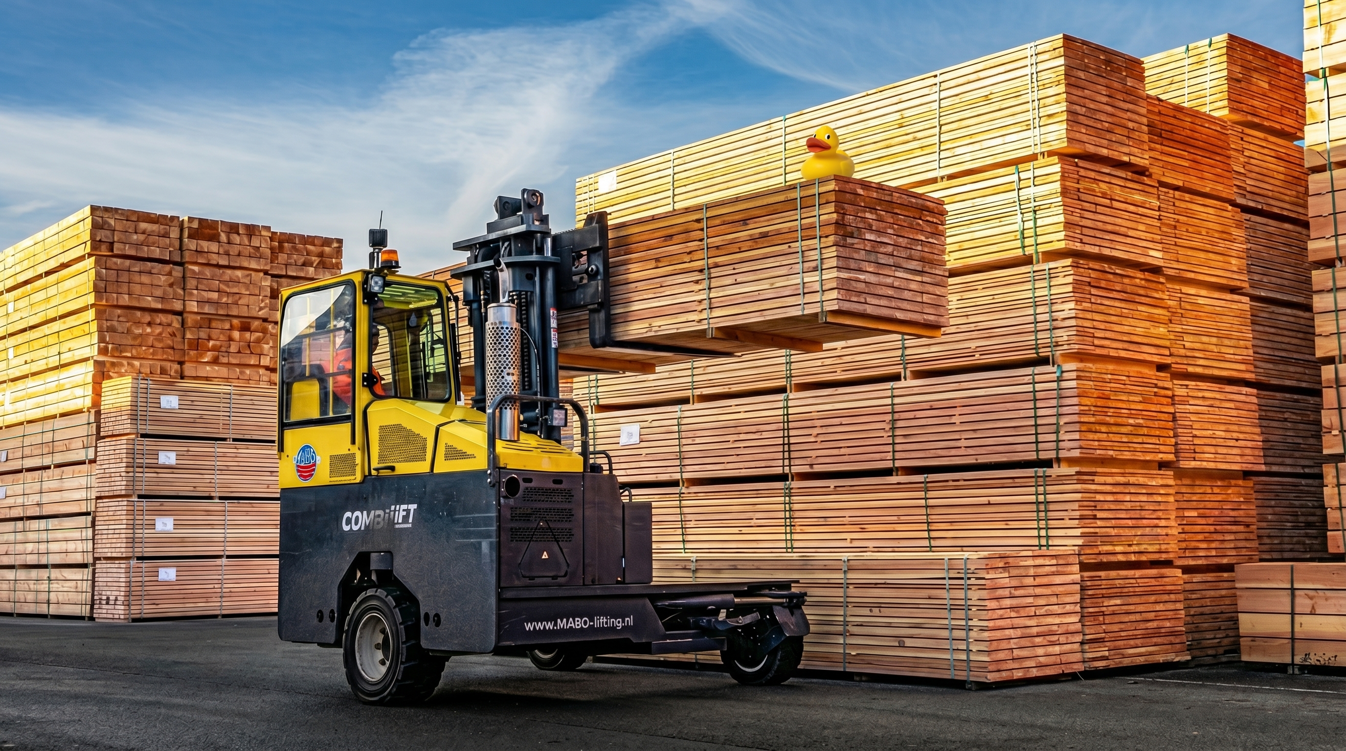 Header image | case Woodvision