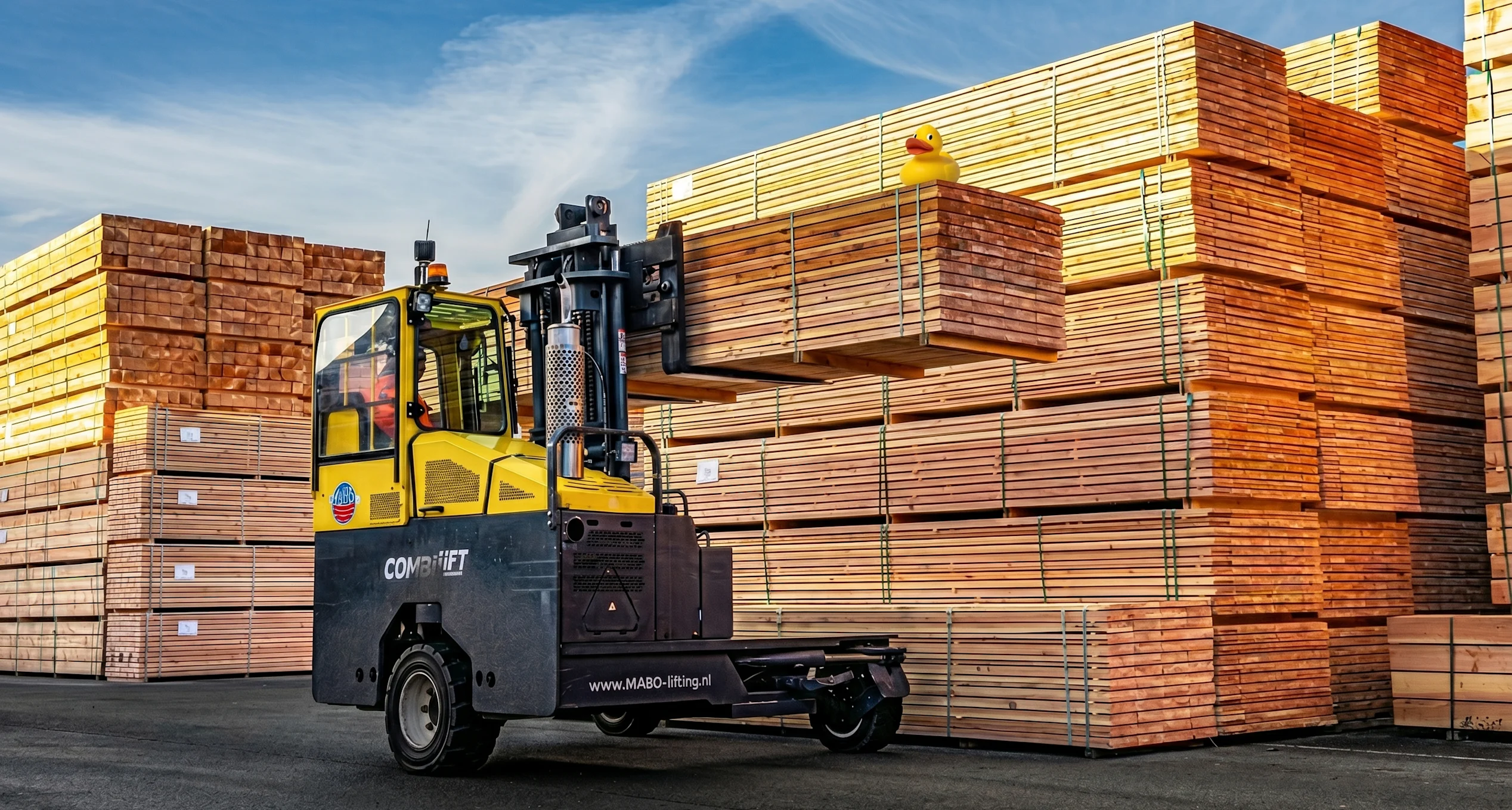 Header image | case Woodvision