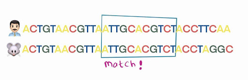 Image 6 bioinformatics-a-hidden-world-where-code-meets-life