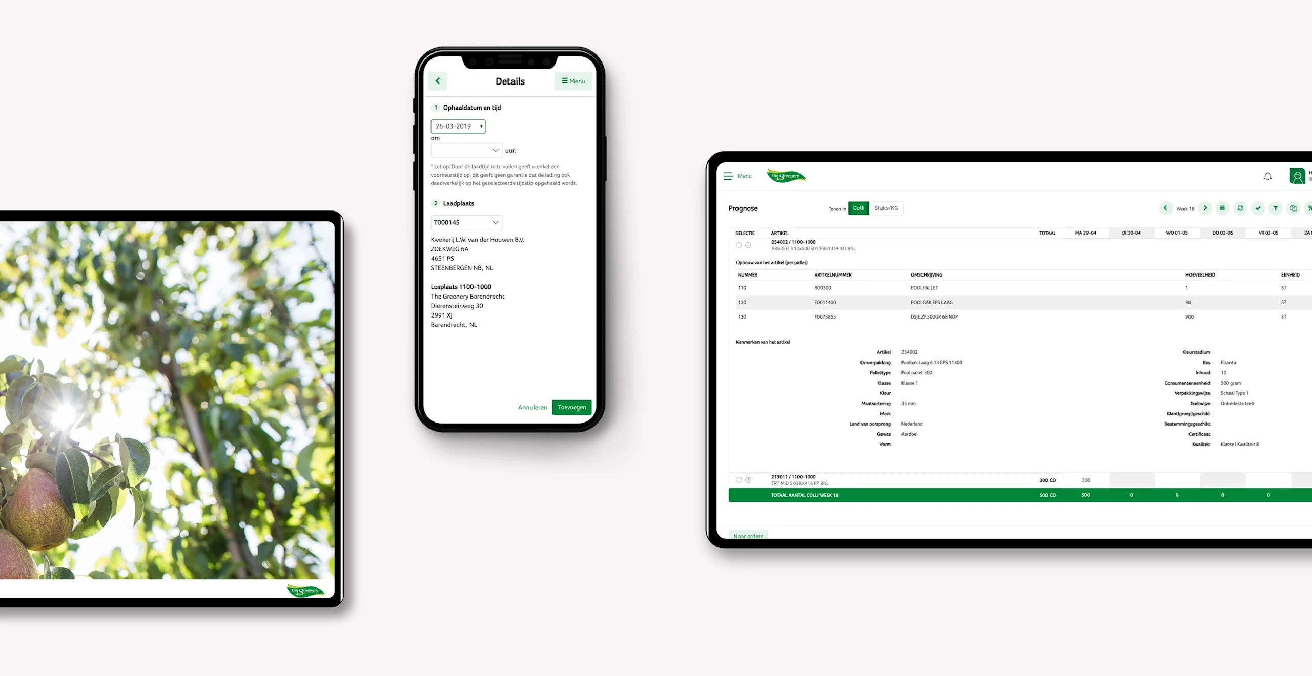 The Greenery Mockup app The Greenery Mockup app