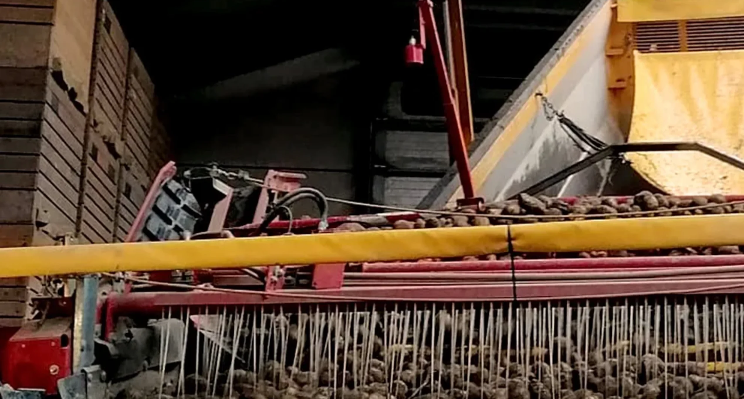 Agrico | Header image | NL & ES