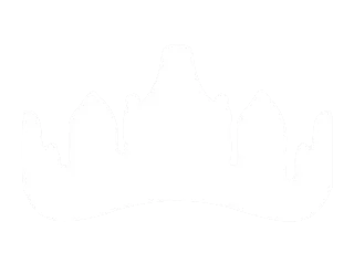 Case | Koningsdag Thuis Logo | NL