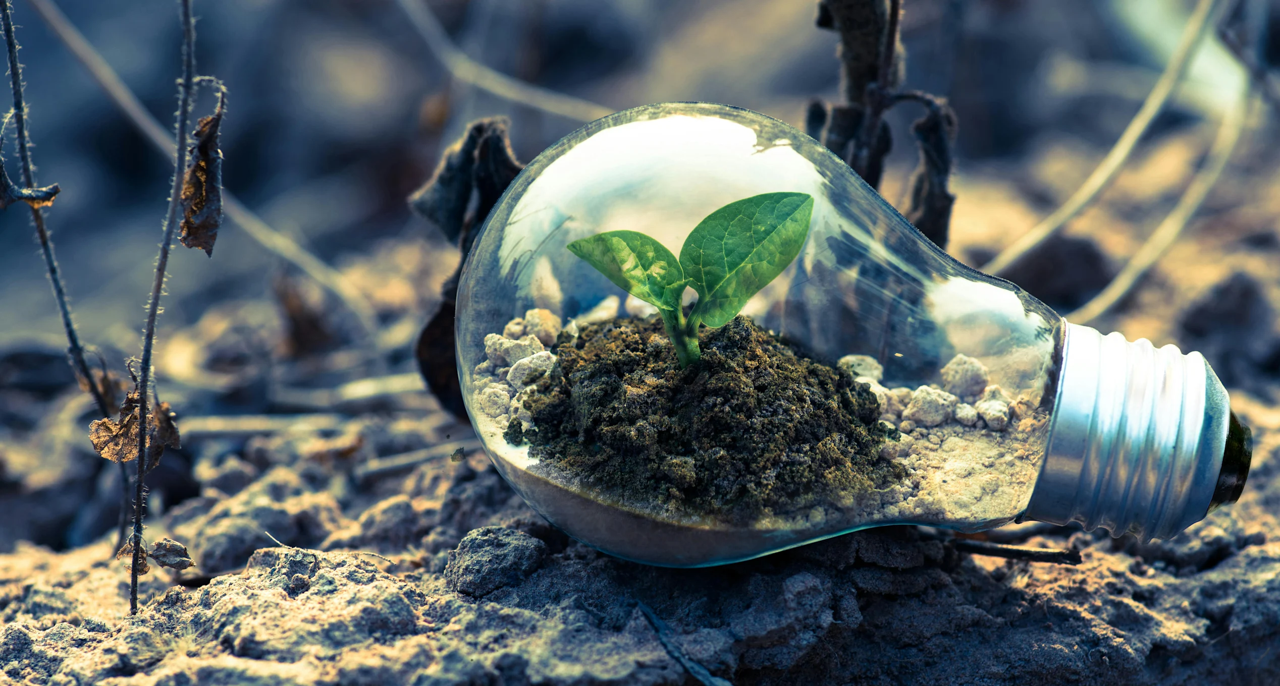 Proyecto Imagina cabecera