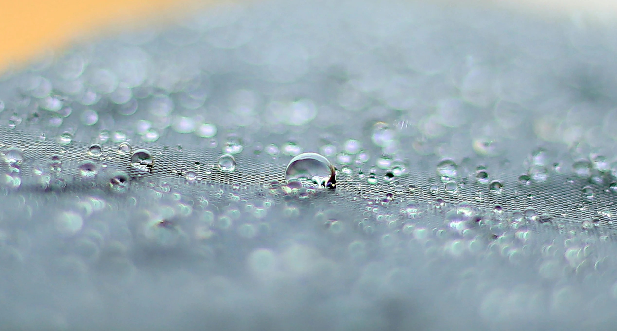 Caso de éxito Zymvol x Incentro - header