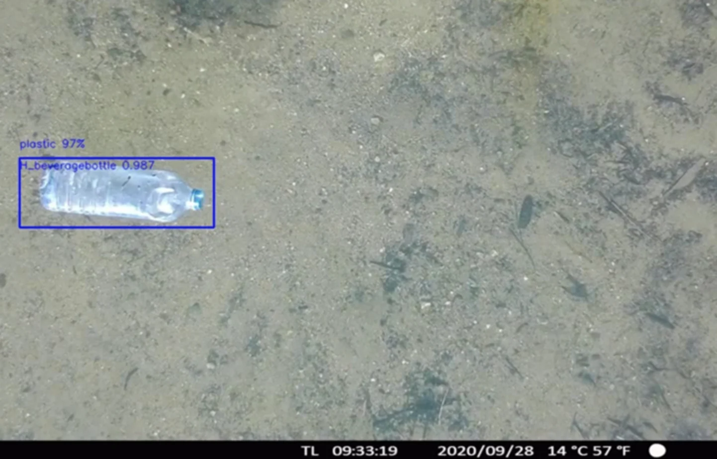 Image | CSIRO real-time object detection - Bali Ocean Days | ID