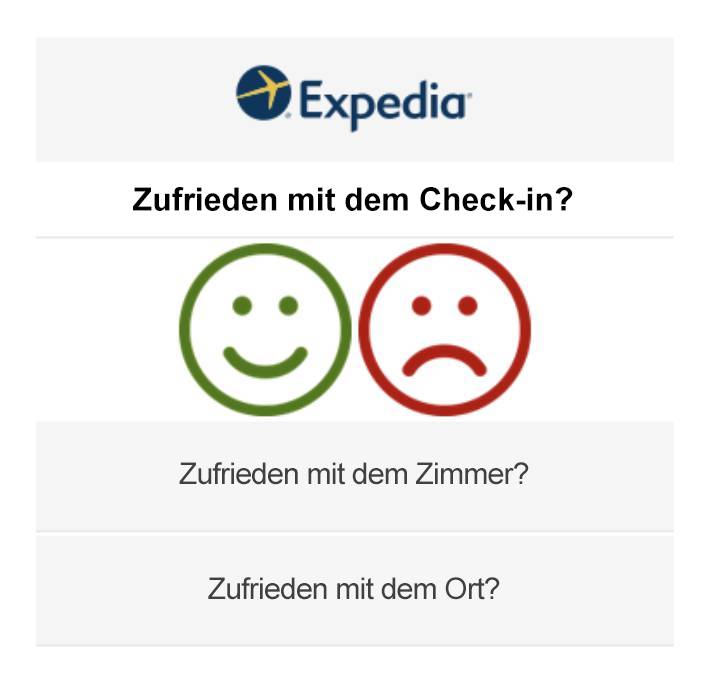 Abbildung 1: Expedia Befragung