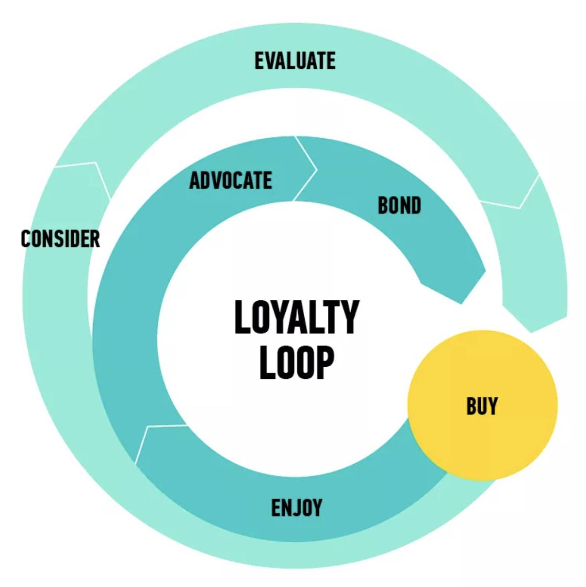 customer experience journeys loyalty loops versus involvement spirals