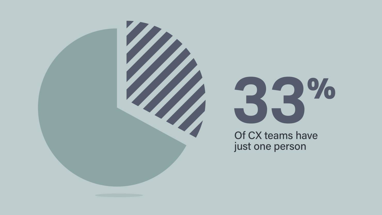 1 in 3 CX teams has just one person
