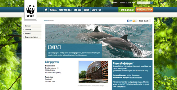wp-contentuploadsScreen-shot-2013-07-24-at-1.36.jpg