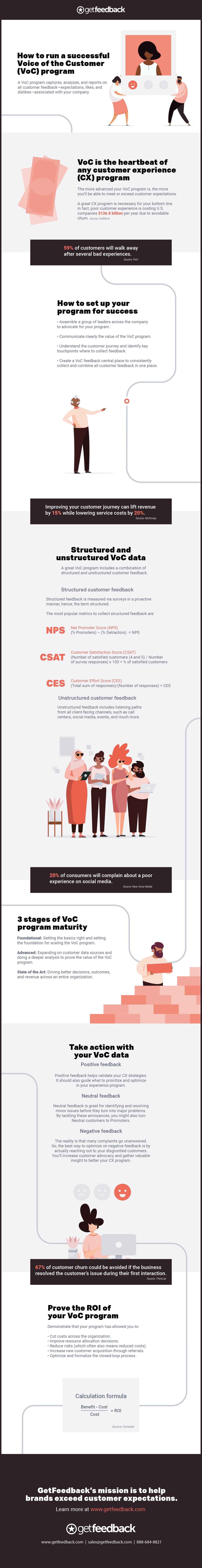 Voice of the Customer Program Infographic