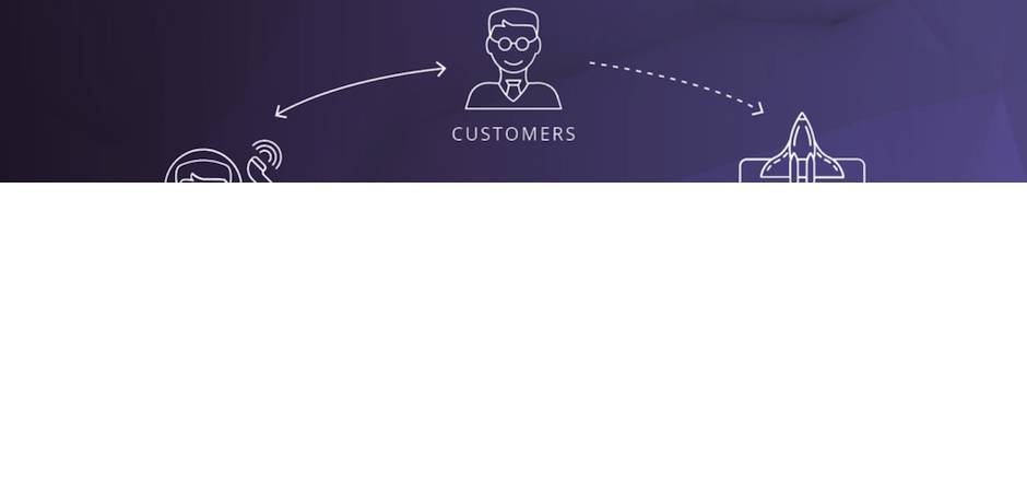 voice of customer