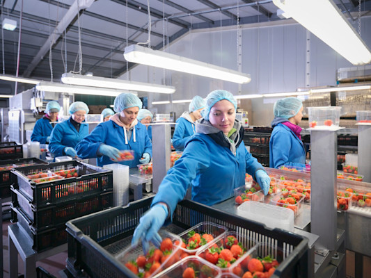 Strengthening food safety across the value chain with the BS ISO 22002 series