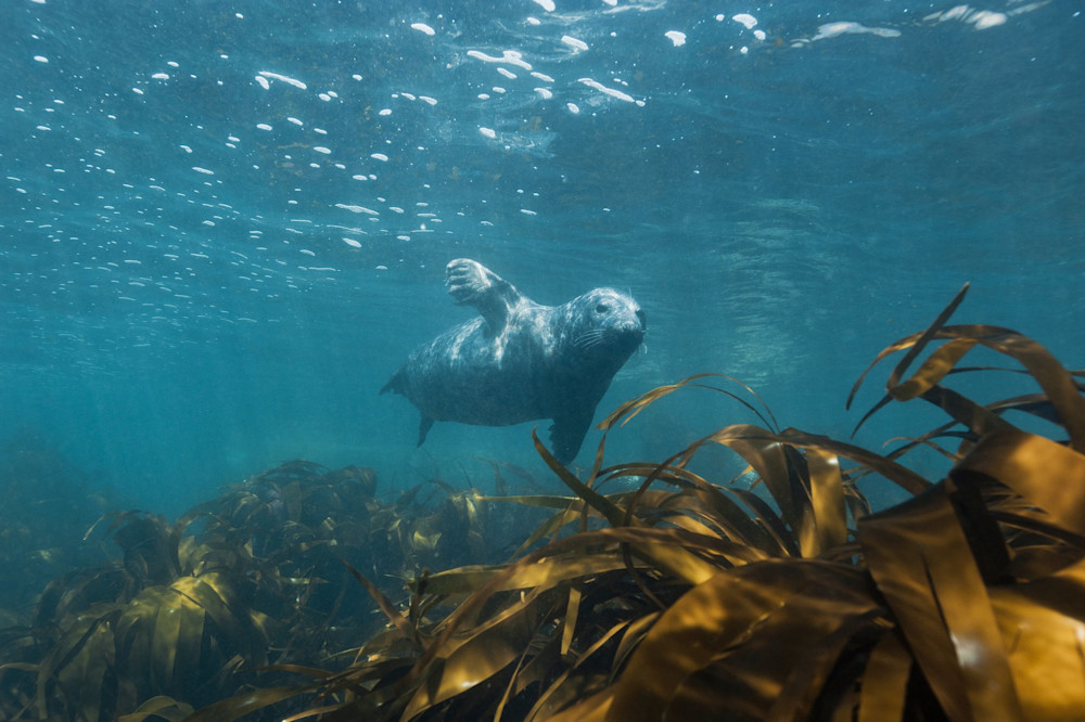 Tackle microplastic pollution in water with BS ISO 5667-27