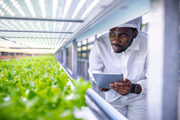 Precision farming standards: How data can support sustainable food production